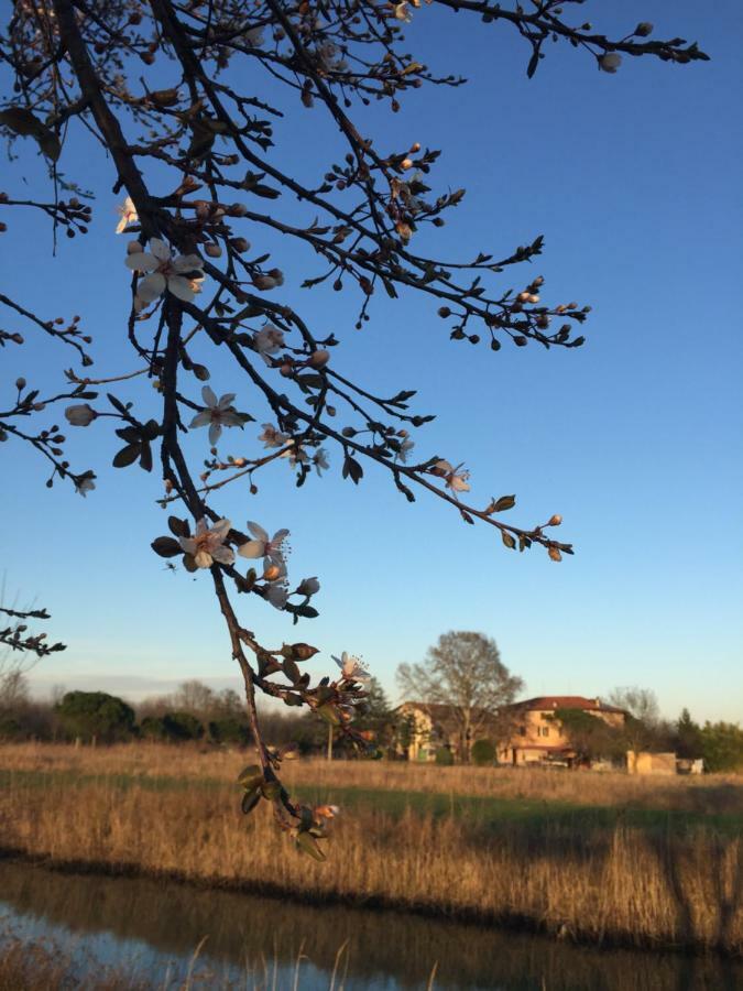 Agriturismo Valle Ca' Del Lovo Carlino Luaran gambar